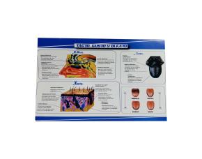 Lamina Tacto Gusto Y Olfato