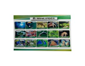 Lamina Reino Animal