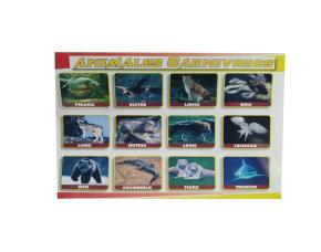 Lamina Animales Carnivoros