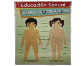 Cromos Educacion Sexual
