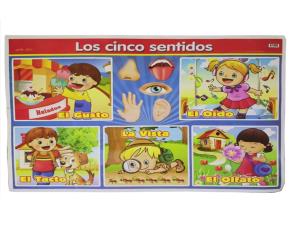 Poster 5 Sentidos Ingles/Espanol