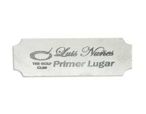 Placa Aluminio 1X2.5\