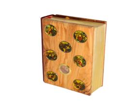 Biblia Con Tierra Santa (Holybibli Spanish)