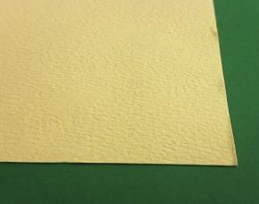 Pk.10 Cart.citro/Dura.65X90Cm220G