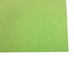 Pk.10 Car.feuille Vd.cl.65X90Cm 230G Verde Claro