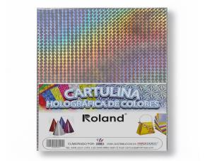 Pk.10 Hjs Holograf.t/C Plata Roland  21.59X28Cm Plata21.59X28Cm
