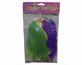 Pk.plumas Manualid.gran Colores