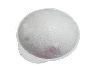 Ojo Humano 25Cm 100% Durapor