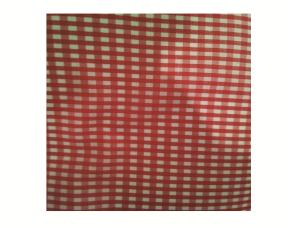 PK.10 FOMI ROJO C/TELA 50X70CMCUADRICULA PEQUEÑO 50X70CM