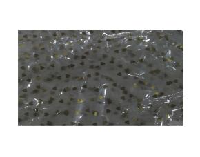 Pk.50 Pap.celof.coraz.76X100Cm76X100Cm