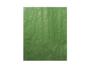 Pliego Pa.chin.14G 20X26\