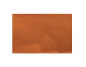 Pk.100 Pa.chin.20X26\