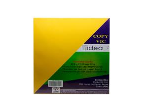 Pk.100 Pap.copy Vic T/C Sol