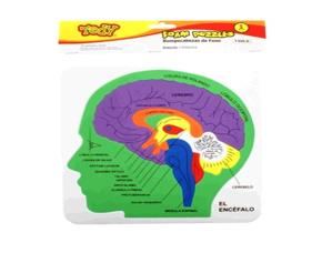 Pk.fomi Rompecabeza Encefalo